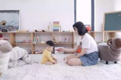 (9分钟科普下)合肥市公司电话_哔哩哔哩-3